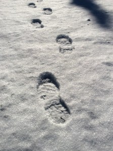 snowy footsteps2